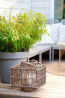 Bamboo plant in grey pot next to metal basket on wooden terrace