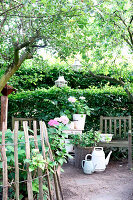 Idyllische Gartenecke mit Hortensien, Gießkannen und alten Gartenmöbeln