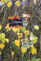 Welcome sign, autumn leaves and vases hanging on a trellis in garden