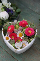 Bellis, houseleeks and ox-eye daisies in a heart-shaped bowl