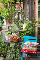 Chair with cushion, next to it basket with freshly harvested strawberries on garden table