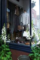 Foxglove (Digitalis) and window display of vintage clothes shop in Hastings, East Sussex, England, UK