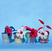 Red and white flowers in stripy garden pots