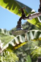 Vintage tap fitting on outdoor pipe