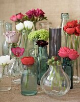 Verschiedenartige einstielige Blumen in Vasen