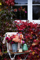 An exterior view of a house and a window with autumnal Virginia creeper, a chair and a tray of autumnal Dahlia flowers and vintage enamelware