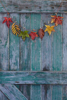 Rustikale grüne Tür mit herbstlichen Wimpeln aus Blättern