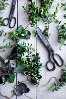 Green branches and ivy leaves with scissors for crafting