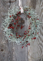 Wreath of hawthorn and calecephalus