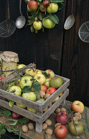 Wooden box with quinces, apples and walnuts in front of wooden wall