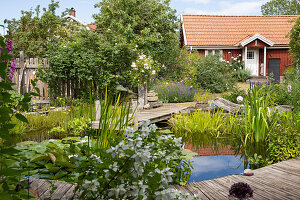 View of garden pond with wooden footbridge and house