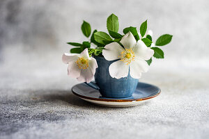 Spring interior with cup and wild rose flowers on concrete table