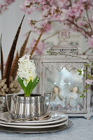 Hyacinth in a silver cup, pheasant feathers, and cherry branches in the background