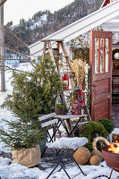 Christmas decoration and fire pit on winter patio in front of a greenhouse