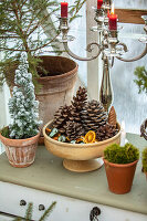 Christmas decoration with cones and candles