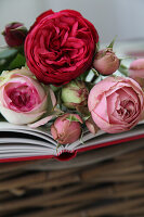 Roses decorating a book