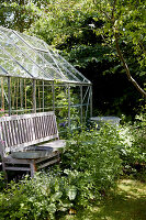 Wooden bench and glass greenhouse in an overgrown garden