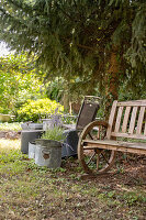 Old wooden bench and zinc pots under the tree in the garden