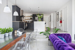 Purple Chesterfield sofa with velvet upholstery, dining area with transparent chairs, in the background kitchen in open living space