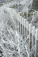 A fence with hoarfrost in winter