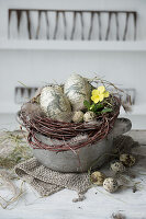 Easter nest with decorative eggs, honeysuckle and quail eggs