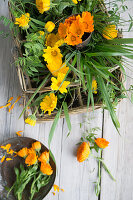 Marigolds (Calendula) with grasses in a basket and flowers on plate