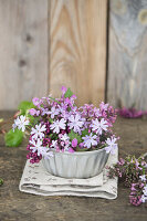 Lilac blossoms in vintage tin bowl