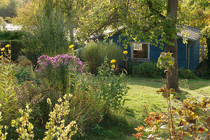 Allotment garden in autumn with lake in the background