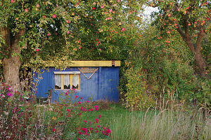 Blue summer house under apple tree in autumn