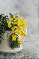 Bright yellow mimosa flowers in ceramic cup on concrete background
