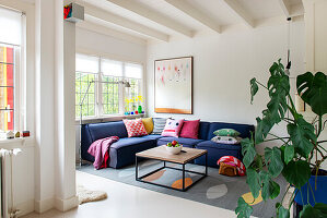 Living room with blue corner sofa, colorful throw pillows and monstera