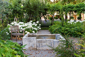 Fountain, behind it a wooden chair in front of a snowball hydrangea in a Mediterranean garden