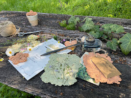 DIY-Samenpapier aus Blumensamen und Eierkarton