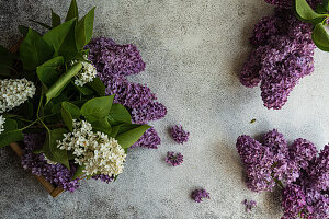 Spring card concept with fresh lilac flowers in the box on concrete background