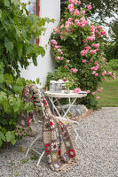 Kiesweg mit Gartenstuhl und Tisch neben blühenden Rosen (Rosa) im Sommer