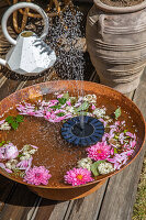 Mini-Solarspringbrunnen mit schwimmenden Blüten auf Terrasse