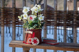 Christrosen (Helleborus) in Emaille-Topf mit Weihnachtsdekoration draußen auf Holzbank