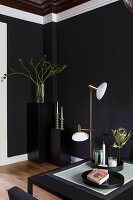 Black walls, floor lamp and modern decoration