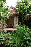 Tropical garden shed with wooden veranda, lush vegetation