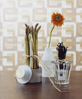 Asparagus, gerbera daisy and vanilla pods in front of retro wallpaper