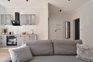 Grey sofa in open living area, grey kitchen
