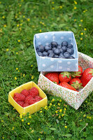 Small fruit bowls made from oilcloth on a flowering meadow