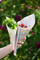 Colourful oilcloth bags with parsley and cherries in the garden