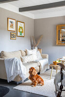 Living room with beige sofa and framed pictures on the wall, dog on carpet