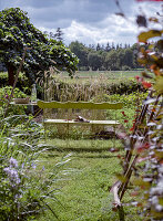 Green garden area with bench and wheat in the background