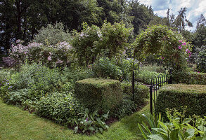 Romantic rose garden with clipped hedges and rose arch