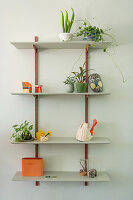 Floating shelf with houseplants and decorative ceramic elements