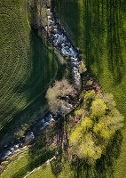 Luftaufnahme von Fluss der sich durch frischgrünen Wiesen schlängelt. Frühling im Valmüstair / Graubünden. Bäume zum Teil im Austrieb mit Schattenwurf