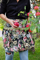 Frau in floral gemusterter Schürze erntet rote Äpfel im Garten
