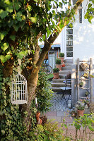 Entrance area with wooden staircase, plants and lattice chair in the garden